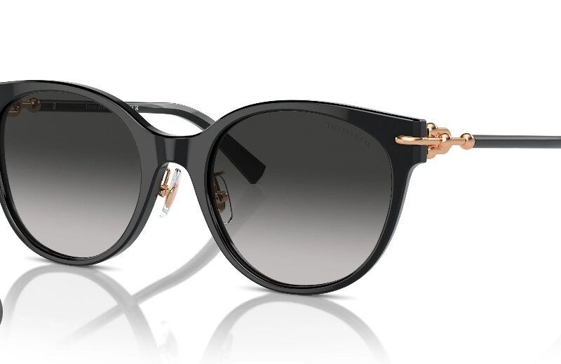 TIFFANY & CO. SUN GLASSES BLACK